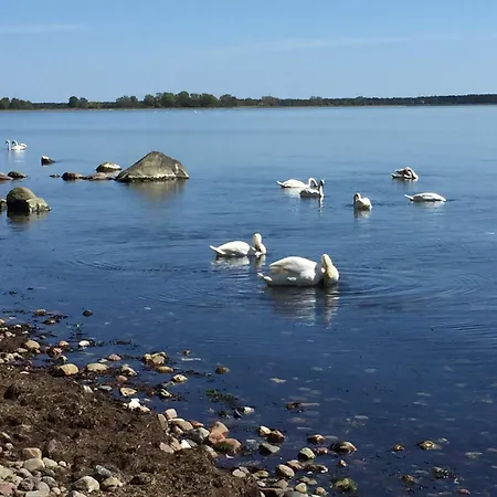 Haus Strelasund Strandläufer
