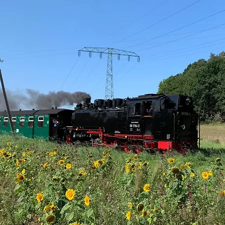 Apartment Haus Strelasund Strandläufer *